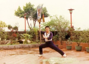 Taipei Kung Fu Chen Shuei Tsai