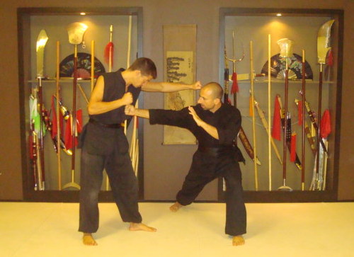 kung fu school plano martial arts
