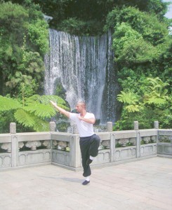 Northern Shaolin Martial Arts Plano