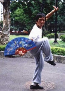 Southern Shaolin Chang Ke Chi Martial Arts Plano